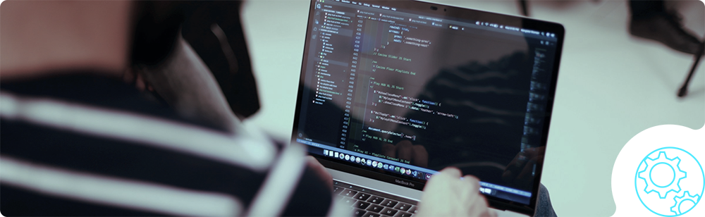 custom software development
